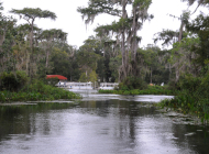boats in river
