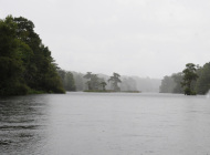 rain on the river
